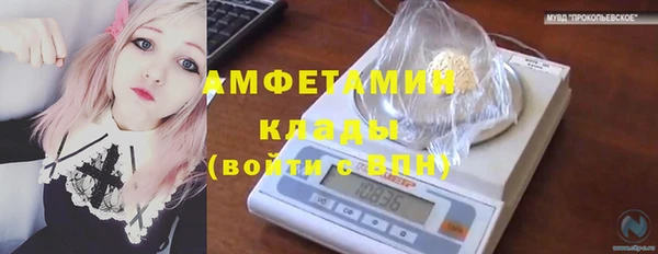 амф Зеленокумск
