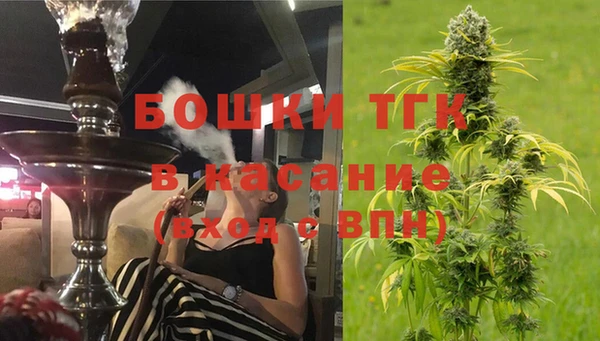гашик Зерноград