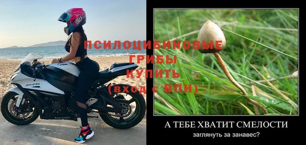 амф Зеленокумск