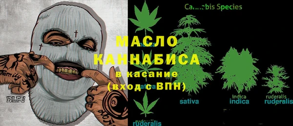 гашик Зерноград