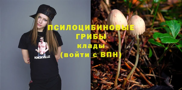 амф Зеленокумск