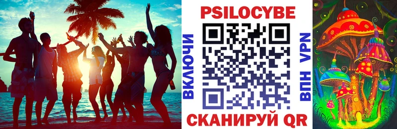 Купить  Бугульма  Псилоцибиновые грибы Psilocybe 